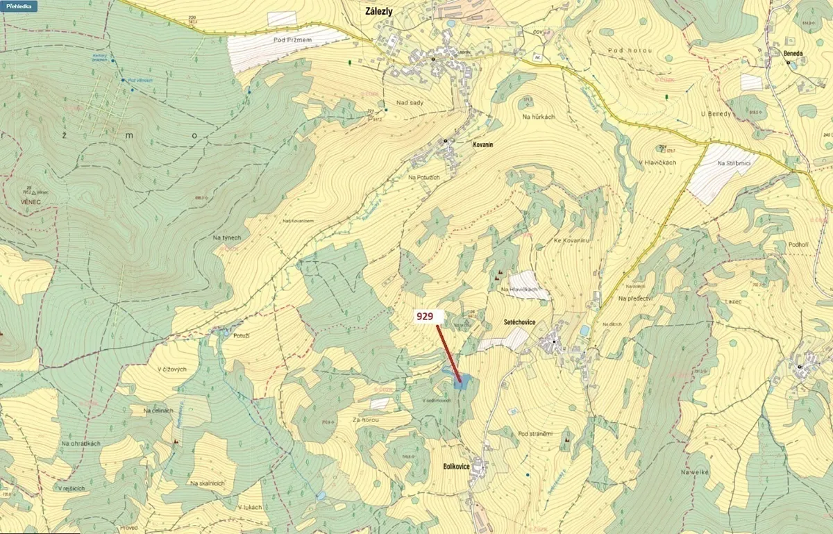 Dražba lesa 5736 m²